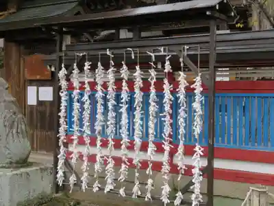 飛驒天満宮のおみくじ