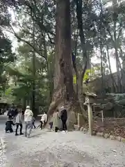 伊勢神宮内宮（皇大神宮）(三重県)