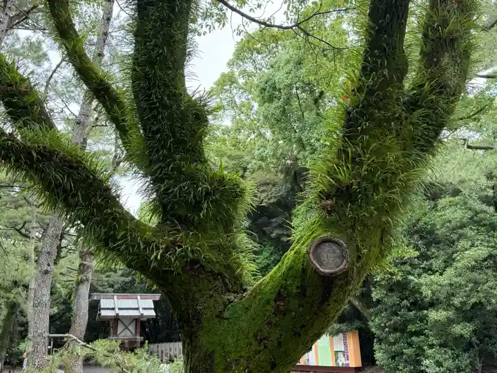 熱田神宮(愛知県)