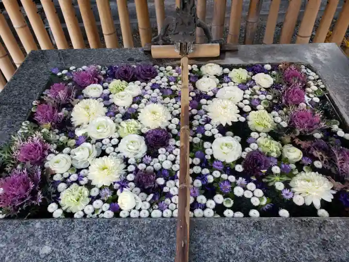 高円寺氷川神社(東京都)