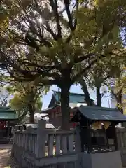 別宮大山祇神社(愛媛県)