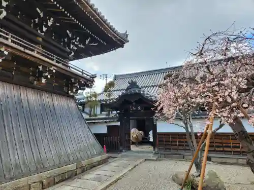 養寿院(兵庫県)