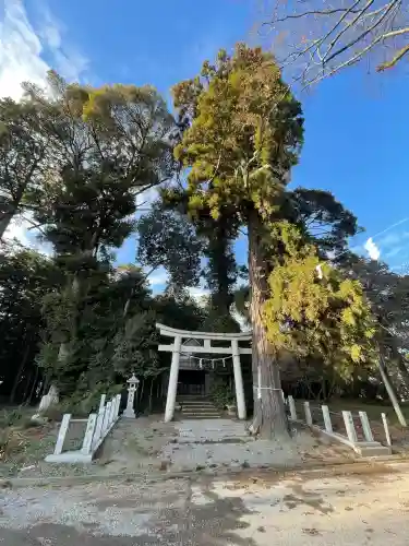 加茂神社御旅所(滋賀県)