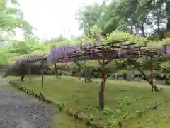 石山寺の自然