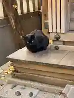 小野照崎神社(東京都)