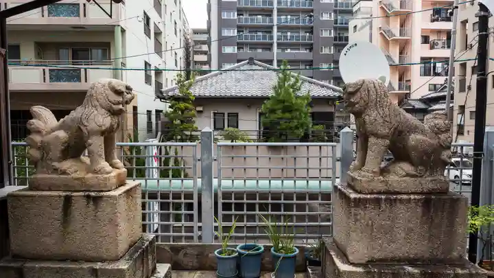 長崎大神宮の狛犬