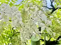 賀茂神社(愛知県)