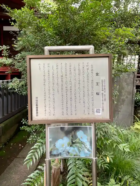 金王八幡宮(東京都)