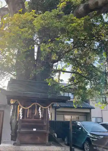 櫟谷七野神社(京都府)