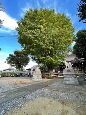 印内八坂神社の狛犬