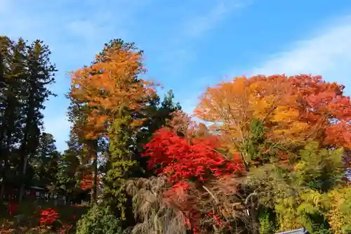 田村神社の景色