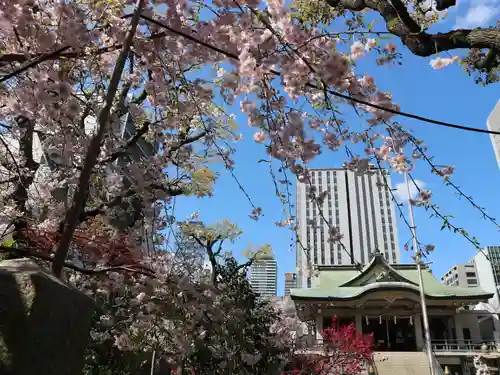 難波神社の自然