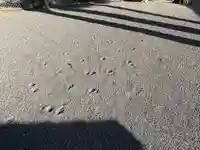 春日神社(滋賀県)