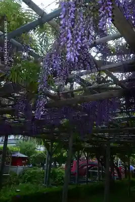 亀戸天神社(東京都)