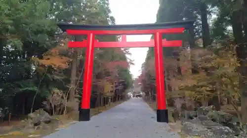 霧島神宮(鹿児島県)