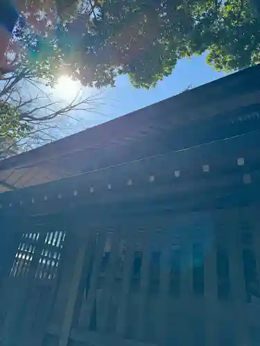 川越氷川神社(埼玉県)