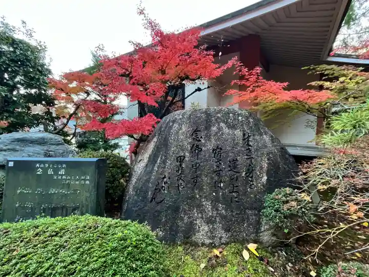 光明寺(粟生光明寺)(京都府)