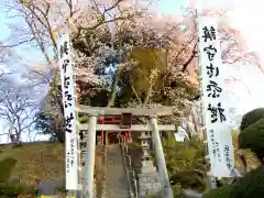 瀧桜神明宮(福島県)