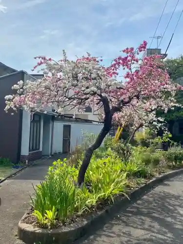 御霊神社（上御霊神社）の庭園