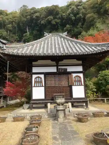 三室戸寺(京都府)