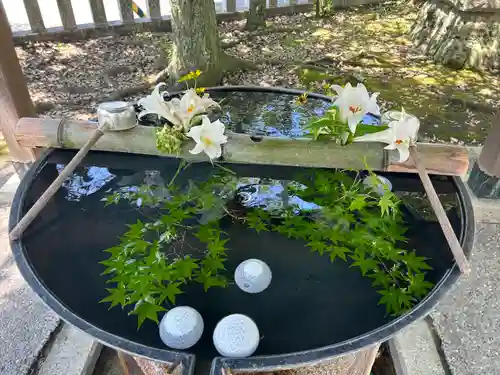 小名浜諏訪神社 ～海の鎮守様～の手水舎