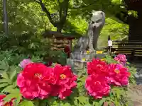 多聞院の{uncategorized: "未分類", other: "その他", undefined: "問題あり", building: "その他建物", grave: "お墓", sacred_gate: "鳥居", guardian: "狛犬", statue: "像", buddha: "仏像", history: "歴史", nature: "自然", garden: "庭園", animal: "動物", pagoda: "塔", temizu: "手水舎", mountain_gate: "山門・神門", sanctuary: "本殿・本堂", subordinate: "末社・摂社", art: "芸術", scenery: "景色", jizo: "地蔵", ema: "絵馬", goshuin: "御朱印", omikuji: "おみくじ", items: "授与品その他", amulet: "お守り", goshuincho: "御朱印帳", eats: "食事", festival: "お祭り", votive_dance: "神楽", shichigosan: "七五三参", wedding: "結婚式", experience: "体験その他", initially: "初詣", around: "周辺", anti_infection: "感染症対策"}
