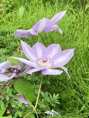 満願寺(長野県)