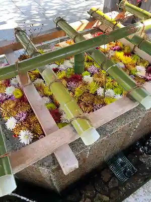 多賀大社の手水舎