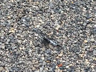 弘長寺(長野県)