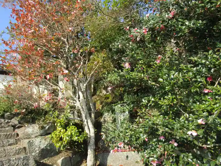 矢田寺(奈良県)