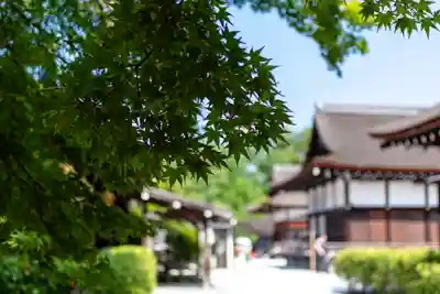 賀茂御祖神社（下鴨神社）(京都府)