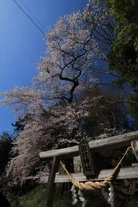 田村神社の鳥居