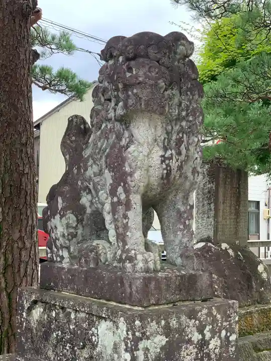 飛驒天満宮の狛犬