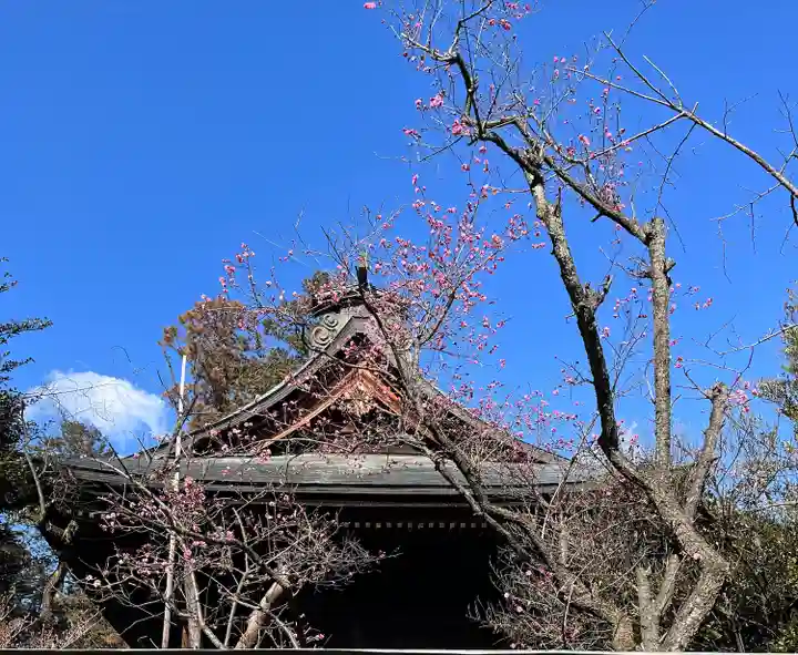 甲斐國一宮 浅間神社のその他建物