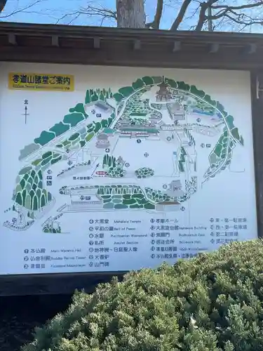 孝道山(神奈川県)