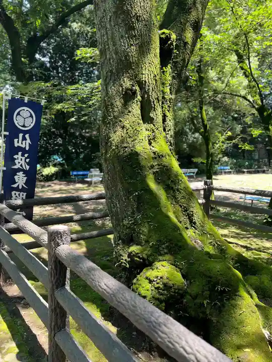 仙波東照宮(埼玉県)