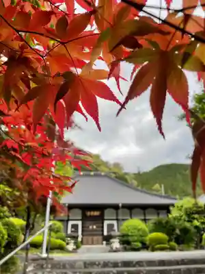 智満寺の本殿・本堂