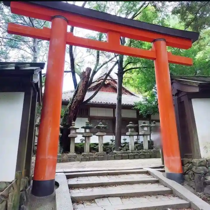 春日大社(奈良県)