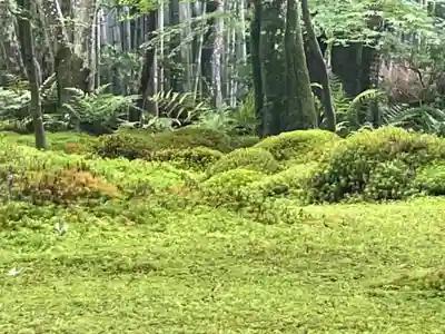 祇王寺(京都府)