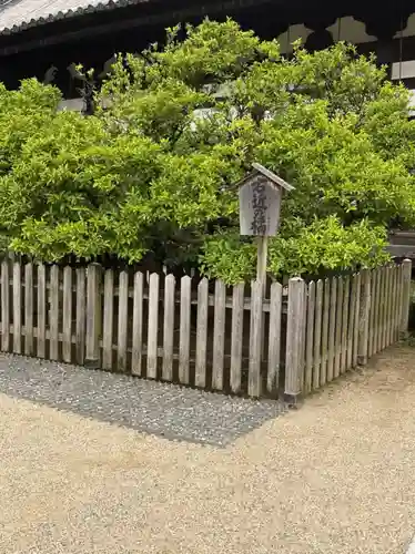 誉田八幡宮の庭園