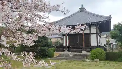 大覚寺の本殿・本堂