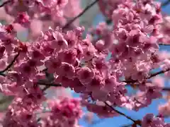 阿邪訶根神社(福島県)