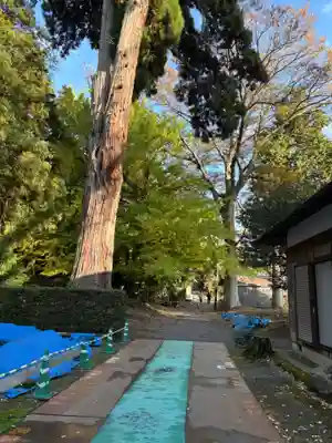 松尾寺(京都府)