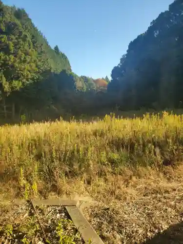夜刀神社(愛宕神社境内社)の周辺