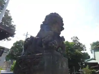 高円寺天祖神社の狛犬