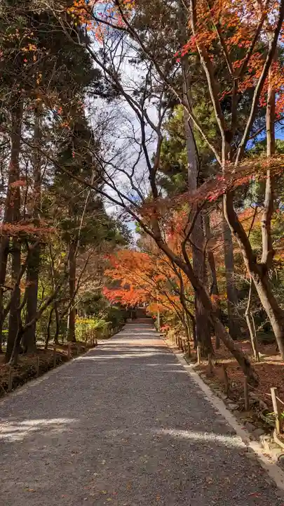 龍安寺(京都府)