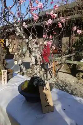 菅原天満宮（菅原神社）のその他建物