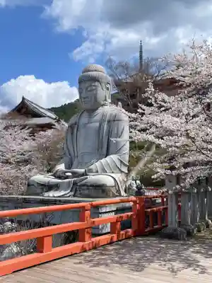 南法華寺（壷阪寺）(奈良県)
