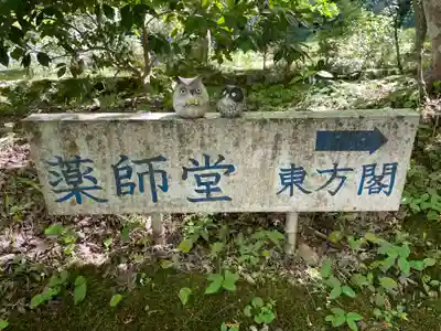 神藏寺(京都府)