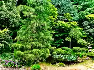 国上寺(新潟県)(2025年05月24日(土) 12時22分58秒投稿)